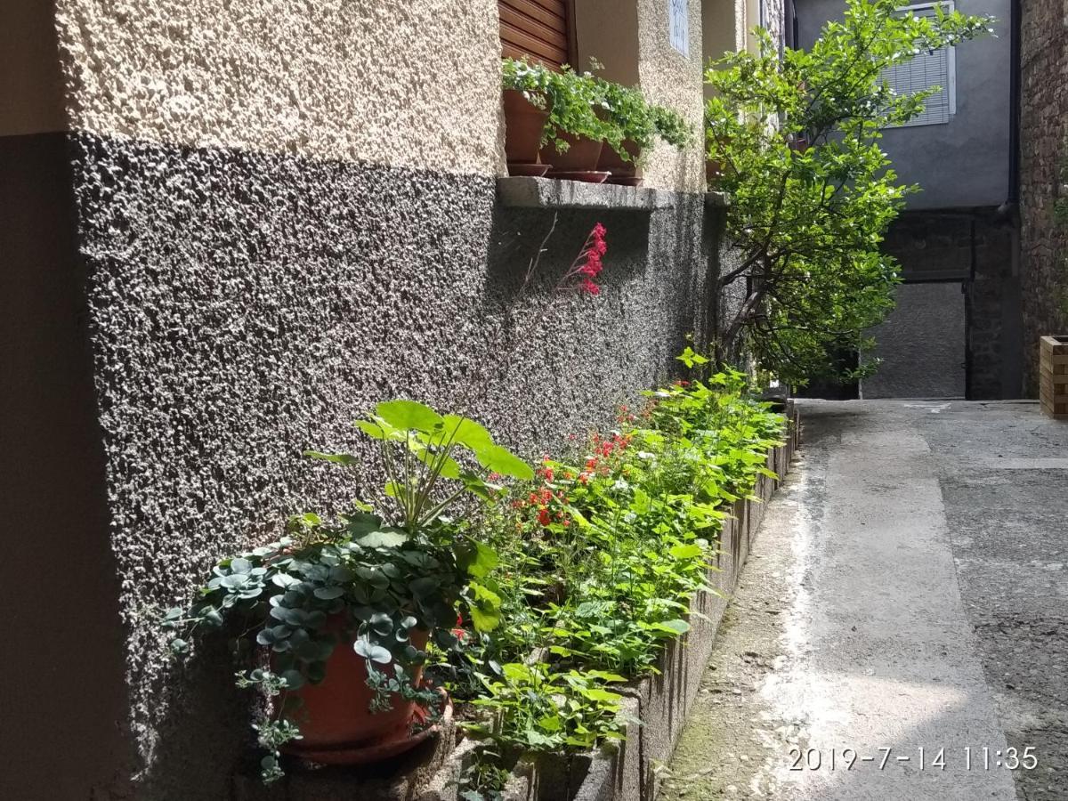 Casa Julio Villa Torla Bagian luar foto